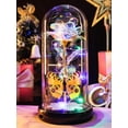 thumbnail image 1 of Gifts Pusuny Galaxy Glass Rose Light Up en forma de cúpula de cristal para mujer, 1 of 9