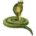 thumbnail image 1 of Simulation Doll Cobra Plush Toy Long Python Doll Rag Doll Zodiac Coiled Snake Fake Snake Props 170cm, 1 of 6