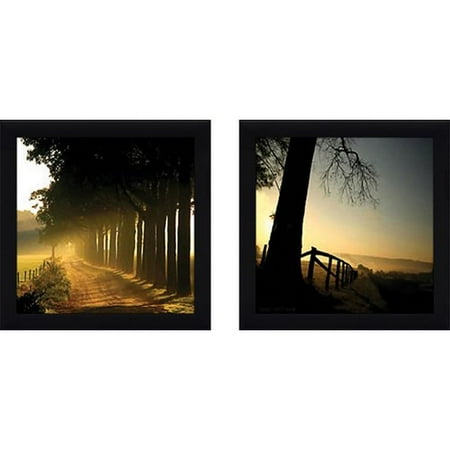 Varick Gallery Morning Glory 2 Piece Framed Photographic Print Set Under Glass
