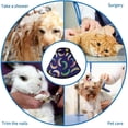 thumbnail image 4 of Bananas Soft Cat Dog Recovery Collar Adjustable Cat Cone Wound Healing Protective After Surgery for Medium Dogs, 4 of 7