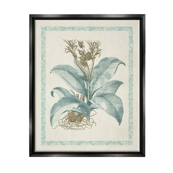 Stupell Industries Detailed Wild Herb Flower Graphic Art Jet Black Floating Framed Canvas Print Wall Art, Design by Vision Studio