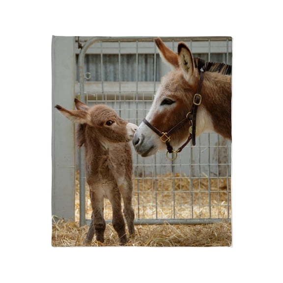 CafePress - Newborn Donkey Foal Throw Blanket - Soft Fleece Throw Blanket, 50"x60" for All Ages