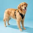 thumbnail image 2 of Vibrant Life Reflective Mesh Adjustable Dog Harness, Black, Large, 2 of 14