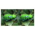 thumbnail image 4 of Juguetes a Modelo de animales electrónicos Vogacara para niños 2Conjunto Verde, 4 of 6