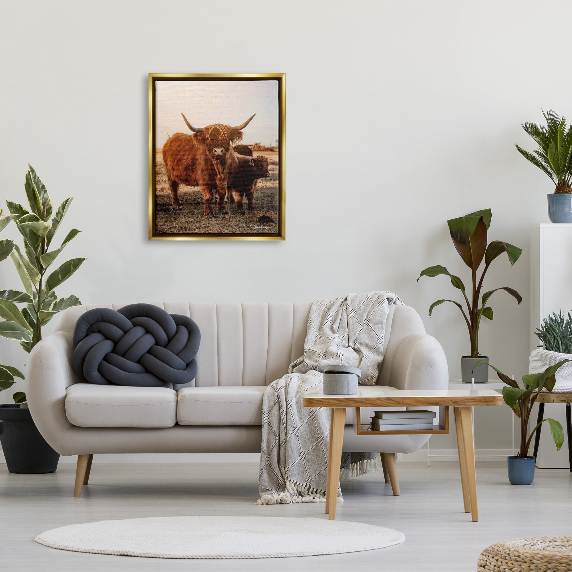 Stupell Industries Longhorn Highland Cattle Cow Warm Sunrise Morning Photograph Metallic Gold Floating Framed Canvas Print Wall Art, Design by Dakota Diener
