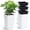 White, variant on Senfot 4 Pack Black PP Self Watering Plant Pots Equipped with Water Level Indicator for Balcony Patio Indoor Outdoor Garden Plants