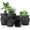 Speckled Black, variant on - Spotty Plant Pots Indoor with Drainage - 7/6.6/6/5.3/4.8 Inches Flower Pots - 10 Pack Plastic Planters - Ideal for Stocking Stuffers - (Speckled Mint, Pack of 10)