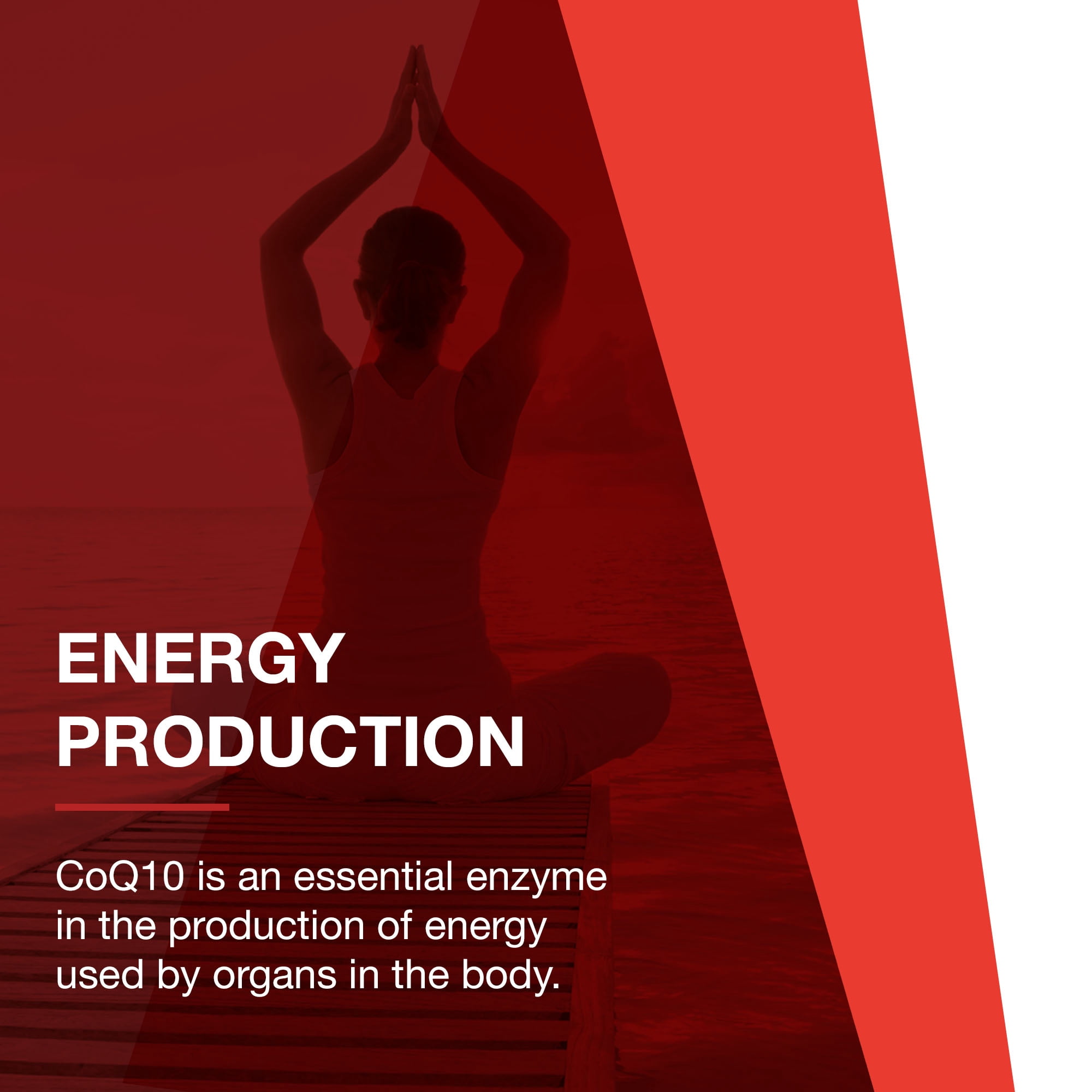 Protocol for Life Balance Ubiquinol Coq10 - 100 mg - 60 Softgels