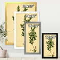 thumbnail image 4 of Designart 'Ancient Plant Life XXV' Traditional Framed Art Print, 4 of 4