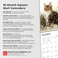 thumbnail image 5 of Maine Coon Cats | 2024 12x24" (Hanging) Square Wall Calendar | BrownTrout, 5 of 8