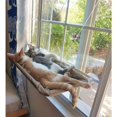 thumbnail image 3 of Cat Bed Window, Cat Window Seat Bed Hammock Space Saving Design, 3 of 4