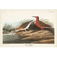 thumbnail image 2 of Audubon, John James 18x13 Black Ornate Wood Framed with Double Matting Museum Art Print Titled - Pl. 263 Curlew Sandpiper, 2 of 4
