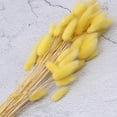 thumbnail image 5 of Decoración de hierba de pampa seca natural, ramo de flores de plantas secas, decoración del hogar boho, amarillo, 5 of 5