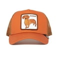 thumbnail image 2 of Goorin Bros. Mens Animal Farm Mesh Trucker Hat Cap Wiener Orange OS, 2 of 2