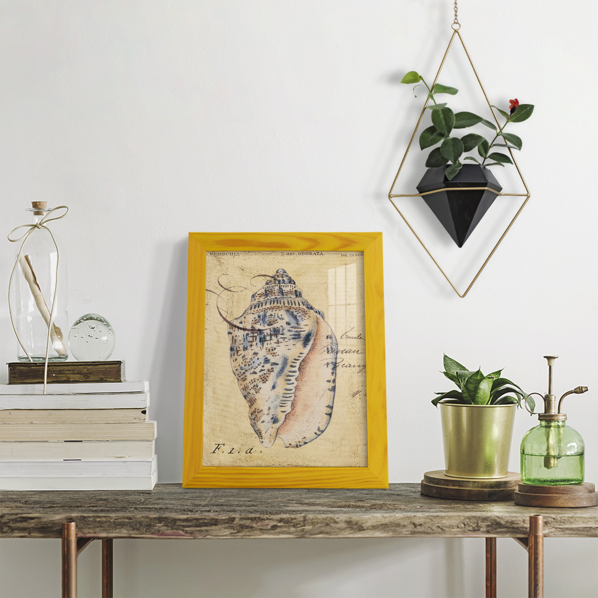 Seashell Ephemera I - Framed Print w/glass - Sunflower Yellow
