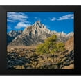 thumbnail image 2 of Fitzharris, Tim 17x15 Black Modern Framed Museum Art Print Titled - Lone Pine Peak-Eastern Sierra-California, 2 of 5