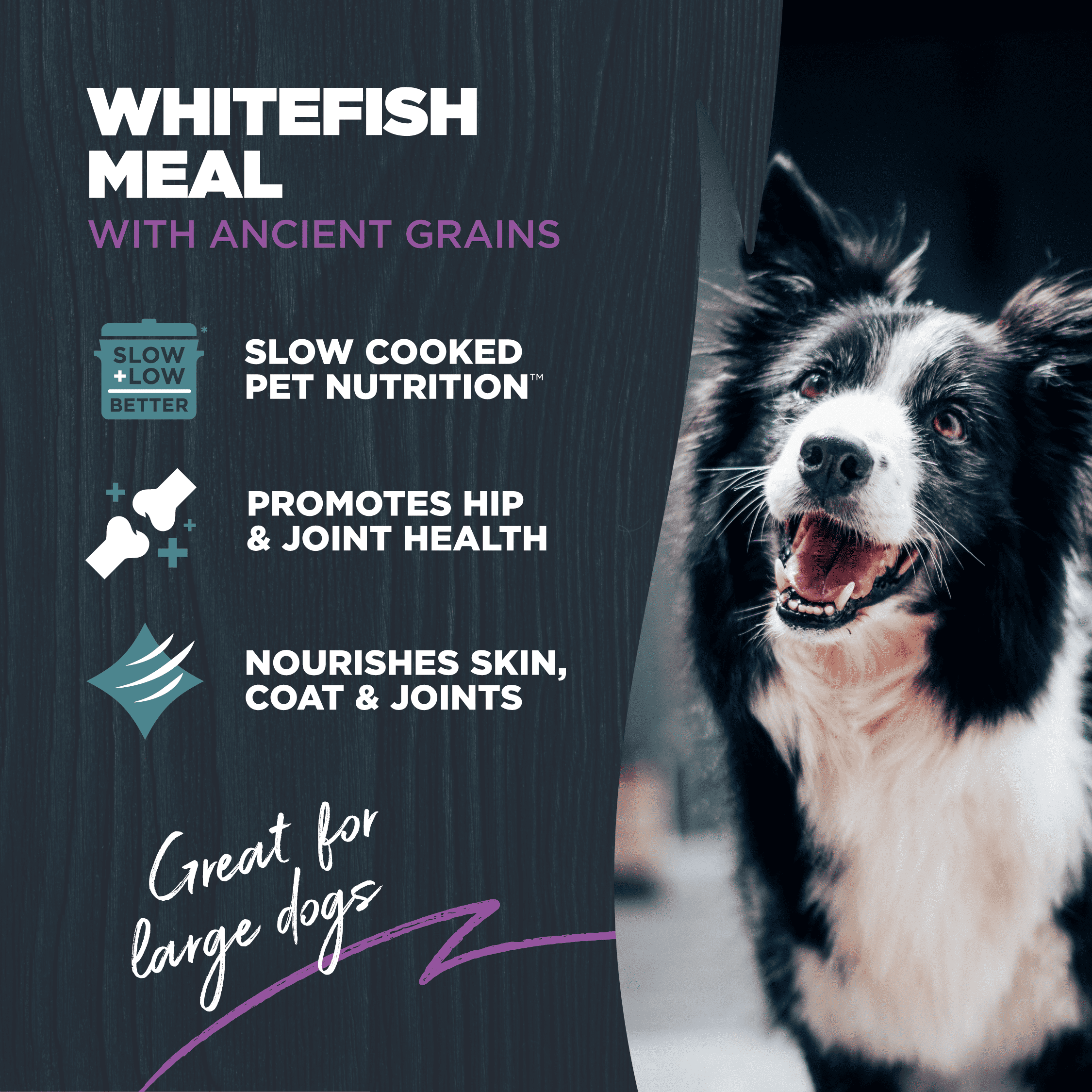 Blackwood Dry Dog Food Large Breed Whitefish Meal with Ancient Grains 10 lb.