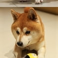thumbnail image 5 of Jumping Ball Dog Toys, Interactive Dog Toys, 4 in Diameter, Yellow, Squeaky, Dog Teeth, Dog Relaxation Relief, 1 Pc, 5 of 5