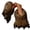 01_Brown, variant on Gpoecd Bedroom Slippers Women Novelty Cartoon Tiger Dinosaur Warm Home Footwear Cozy Indoor Non Shoes for Women 02_Blue,9