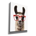 thumbnail image 2 of Epic Graffiti 'Hip Llama I' by Victoria Borges, Canvas Wall Art, 40"x54", 2 of 2