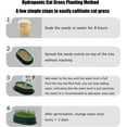 thumbnail image 4 of Trianu Cat Grass Planter, Hydroponic Cat Grass Planter Kit, Easy to Plant Soilless Culture Cat Grass Growing Kit for Indoor Cats (2 Pack, Blue, ONLY TRAY), 4 of 8