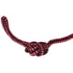 thumbnail image 4 of Pelota de juguete para perros sobre una cuerda de caucho natural CoscoSx, 4 of 12