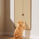 thumbnail image 1 of Alfombrilla rascadora para gatos Almohadilla de protección de sisal para sofá y pared | 19,7 x 35,4 pulgadas | Sisal natural duradero | Cuidado de las garras | Rascador multiusos para gatos | Fácil, 1 of 8