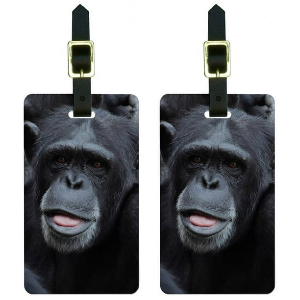 Graphics and More Chimpanzee Chimp Ape Monkey Luggage Tags Suitcase