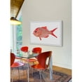 thumbnail image 6 of Marmont Hill "Red Striped Fish" by Michael Pantalos Framed Painting Print, 6 of 6