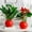 Red, variant on Self Watering Plant Pots Indoor Hydroponic Flower Pot Plastic Planters Desktop Garden Container Water Storage Lazy Plant Lovers Home Decor White Red 7.87x6.50x6.50 inches