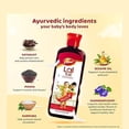thumbnail image 4 of Dabur Lal Tail(oil) Ayurvedic Medicine Kids Massage Oil 200ml (Pack of 2), 4 of 6