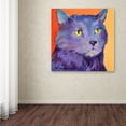 thumbnail image 4 of Trademark Fine Art "Frenchy" Canvas Art by Pat Saunders-White, 4 of 4