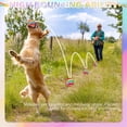 thumbnail image 4 of Pelotas de tenis para perros EXPAWLORER, paquete de 12 unidades, 6,5 cm, Rainbow Squeaky, 4 of 7