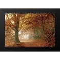 thumbnail image 2 of Vila , Toni 14x11 Black Modern Framed Museum Art Print Titled - Autumn Dream, 2 of 5