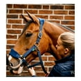 thumbnail image 3 of HORSEWARE IRELAND Horseware Signature Grooming Headcollars, Color: Navy, Size: Horse, 3 of 5