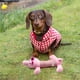 thumbnail image 5 of Mascotas Perro Felpa Masticar Juguetes Cachorro Squeaky Molar Suave Juguetes Interactivos (Rosa Grande), 5 of 7
