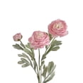 thumbnail image 2 of 1PC 3-Head Flocked Artificial Ranunculus Flowers, Real Touch Silk Peony Fake Flowers, Long Stem Faux Blooms for Home Wedding Party Decor (Pink), 2 of 9