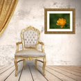 thumbnail image 3 of Bonin, Suzanne 14x12 Gold Ornate Wood Framed with Double Matting Museum Art Print Titled - Asian Globeflower, 3 of 4