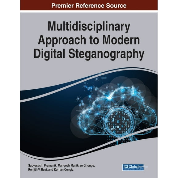 Multidisciplinary Approach to Modern Digital Steganography (Paperback)