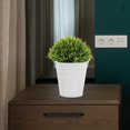 thumbnail image 3 of 5Pcs Iron Flower Pot with Handle Small Garden Plant Pot Vase for Garden, 3 of 4