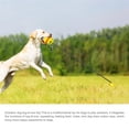 thumbnail image 4 of Juguete de tiro al aire libre War para perro Mordedura de molar Juguete de bola de cuerda chirr MABOTO Juguete al aire libre del tirón, 4 of 7