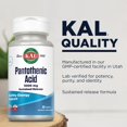 thumbnail image 4 of Suplemento de ácido pantoténico KAL 1000 mg B5 de liberación sostenida, 4 of 6