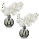 thumbnail image 1 of Flores artificiales Oairse de orquídeas blancas con jarrón de vidrio negro, 1 of 7