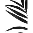thumbnail image 3 of Stramel, Renee W. 17x24 Black Modern Framed Museum Art Print Titled - Black Palms VI, 3 of 5
