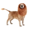 thumbnail image 4 of RKSTN Halloween Scarf Pet Wig Medium Large Dog Accessories Dog Lion Turtleneck (with Tail), 4 of 7