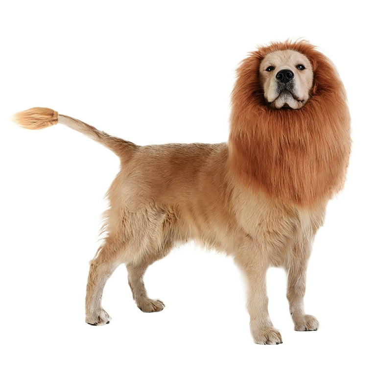 Wholesale dog cheap products