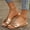 Gold, variant on Womens Flat Slide Sandals Black Square Toe PU Faux Leather Cushioned Comfort Slip On Summer Shoes with Metal Buckle Size 9