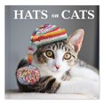 thumbnail image 1 of Hats on Cats, 1 of 1