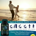 thumbnail image 3 of Prostate Plus Men's Fitness Vitality Complex - Natural Supplement for Prostate Health, Stamina, and Energy Support with Saw Palmetto, Zinc, and Reishi Mushroom - Made in USA, 3 of 9