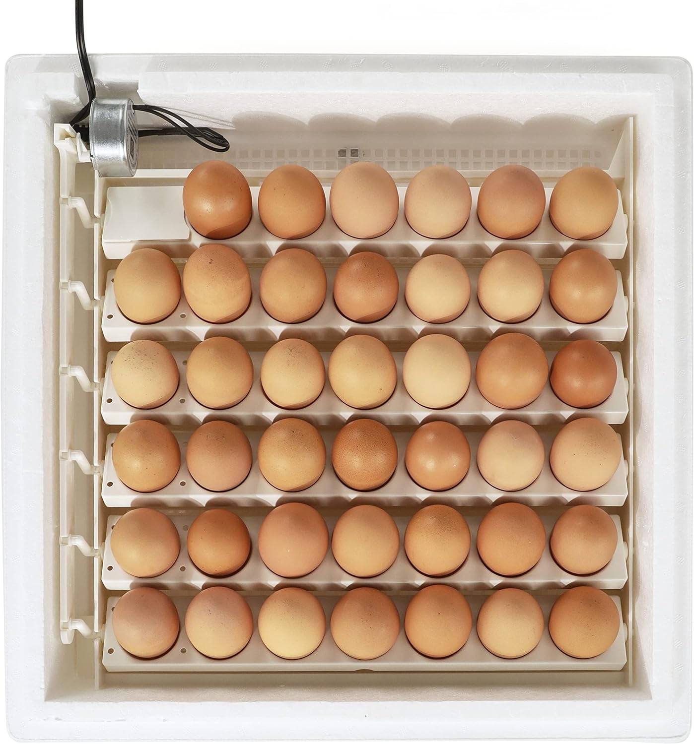 WangCaiXin Farm Innovators 3200 Automatic 41 Spot Egg Turner, Eliminate Manual Handling & Improve Hatching Rate — Residential Use, Standard Application